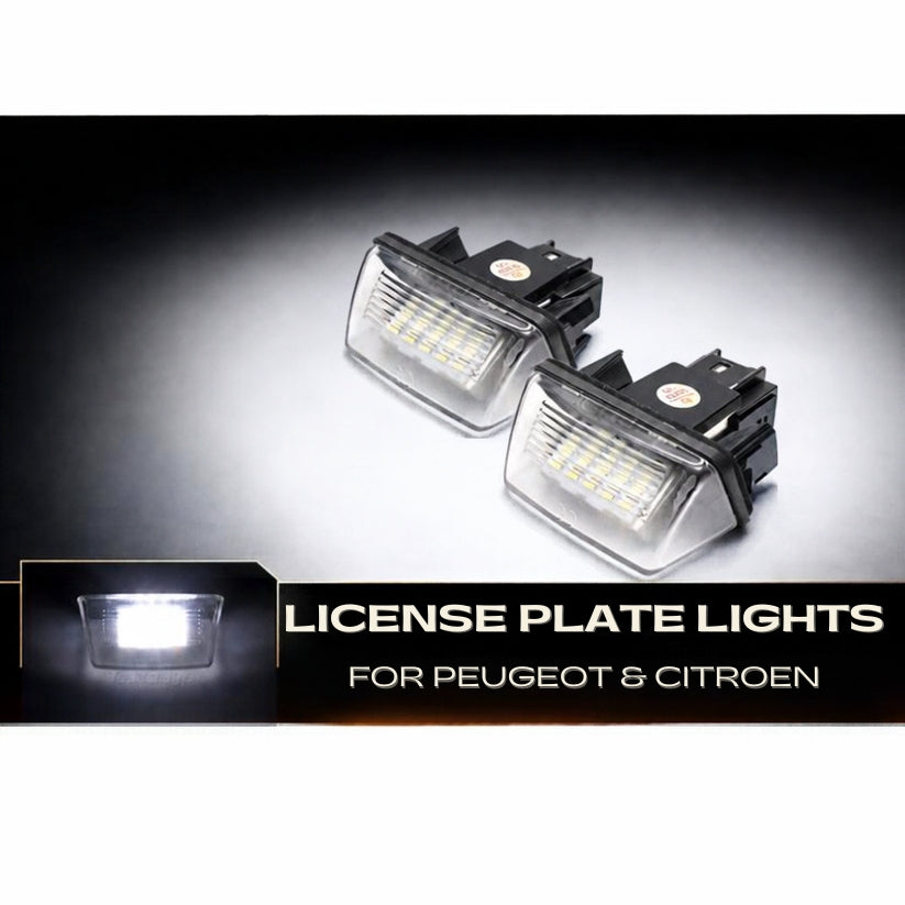 Peugeot/ Citroen Number Plate Unit